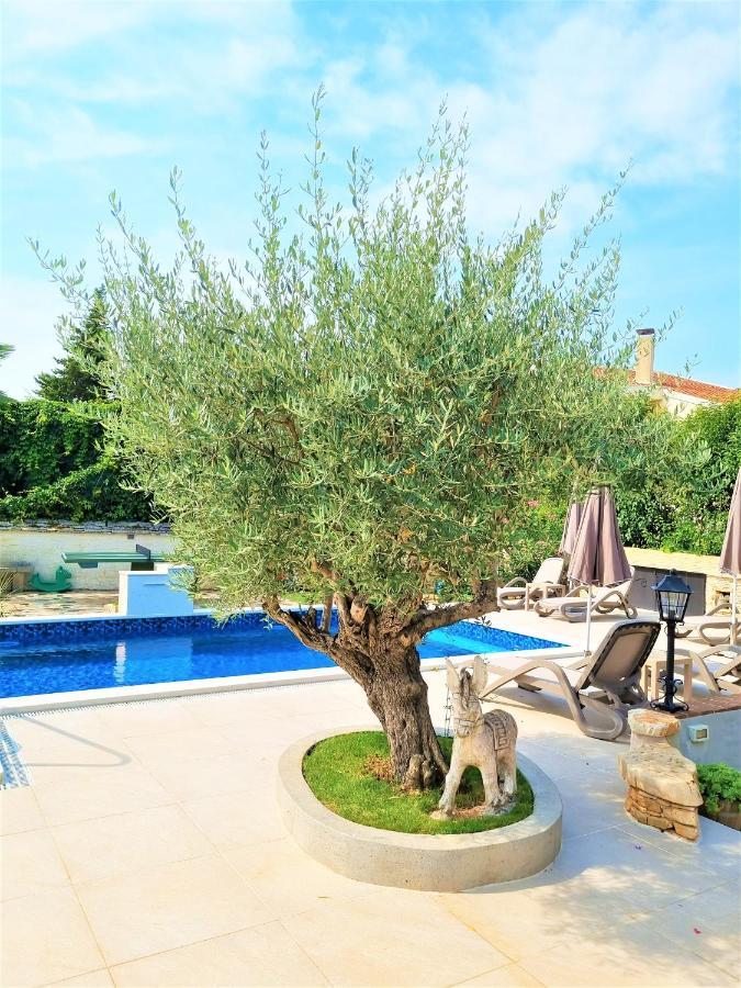 Apartment Villa Engel With Pool Пореч Екстериор снимка
